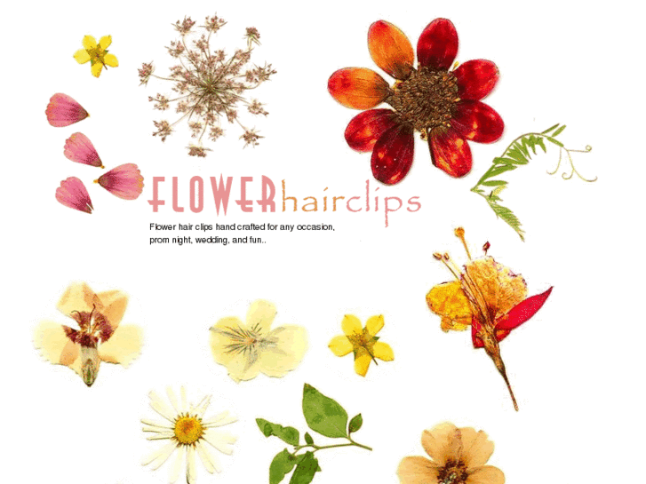 www.flowerhairclips.com