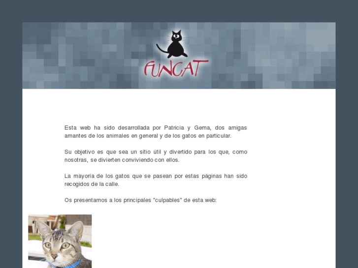 www.funcatweb.com