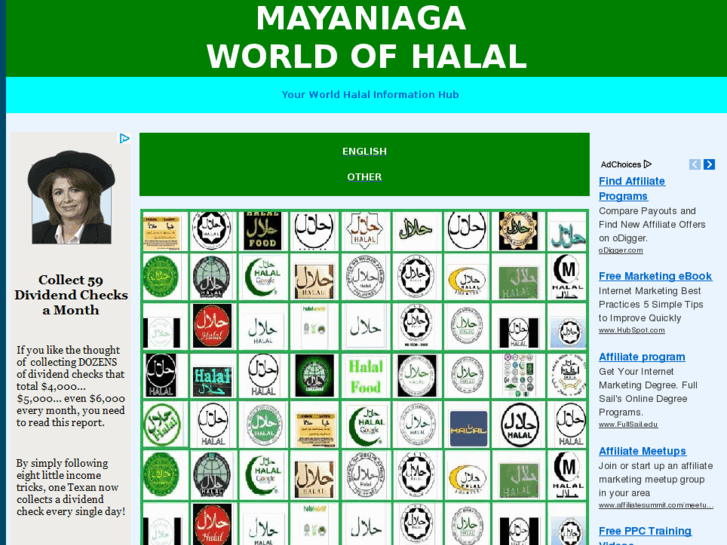 www.mayaniaga.com