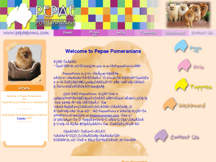 www.pepaepoms.com