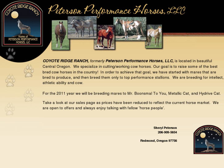 www.petersonperformancehorses.com