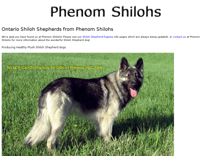 www.phenomshilohs.com