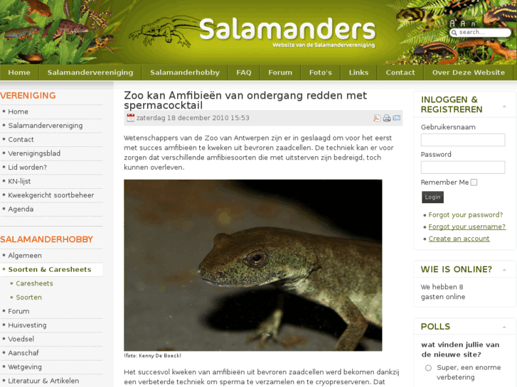 www.salamanders.nl