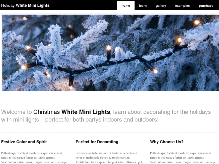 www.xmas-lights.net