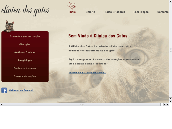 www.clinicadosgatos.com