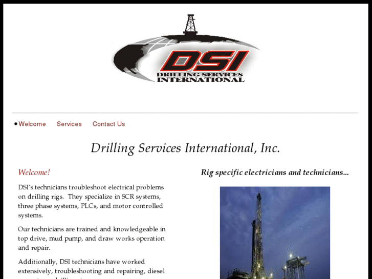 www.dsi-inc.info