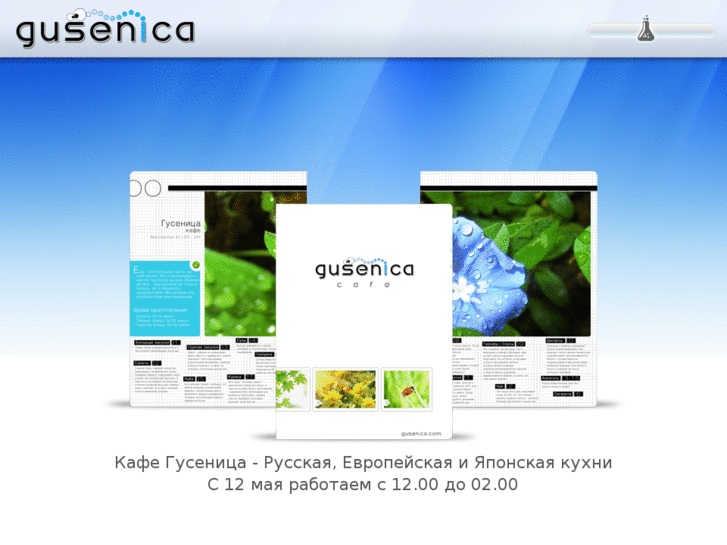 www.gusenica.com