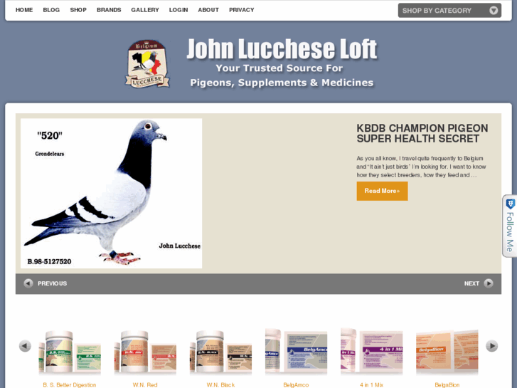 www.jluccheseloft.com