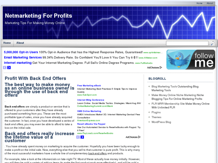 www.netmarketing-for-profits.com