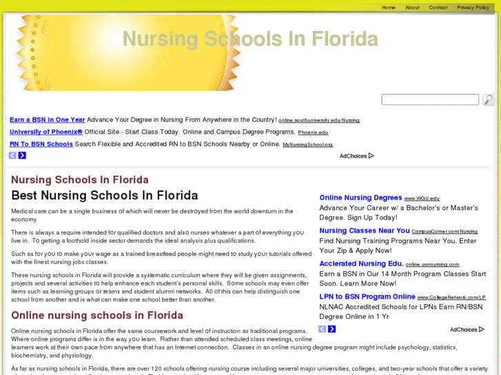 www.nursingschoolsinflorida.net