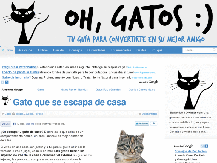 www.ohgatos.com