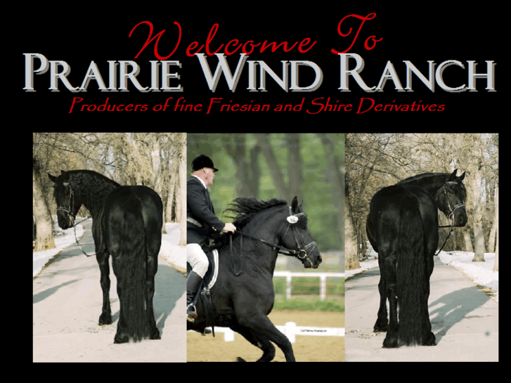 www.prairiewindhorses.com