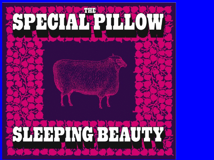 www.specialpillow.com