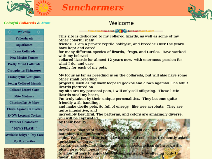 www.suncharmers.com