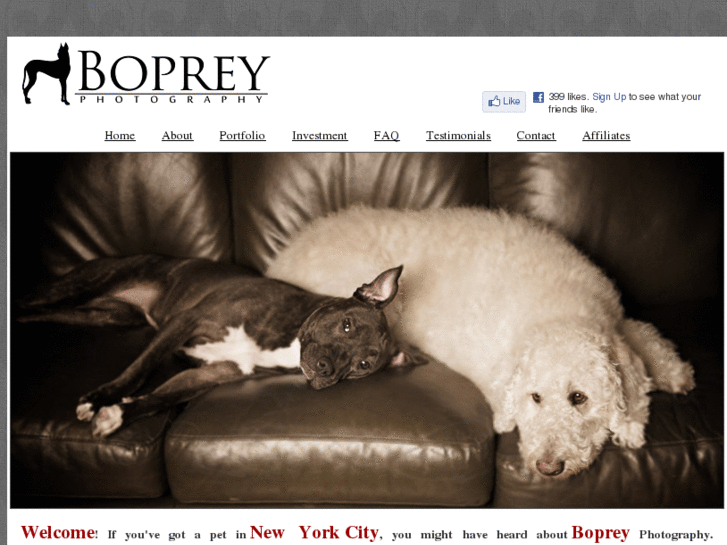 www.boprey.com