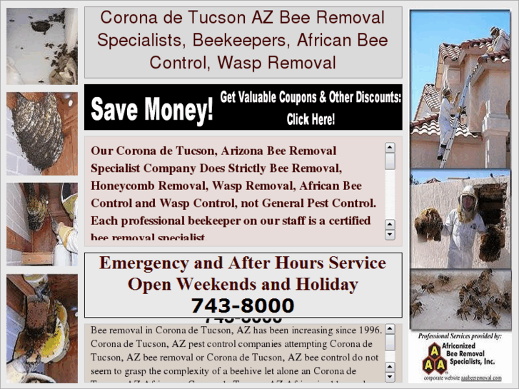 www.coronadetucsonazbeeremoval.com