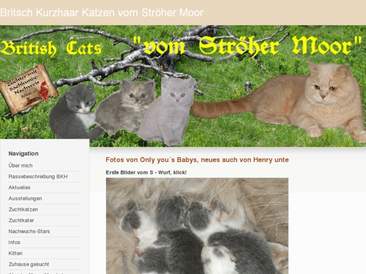 www.moorkatzen.de