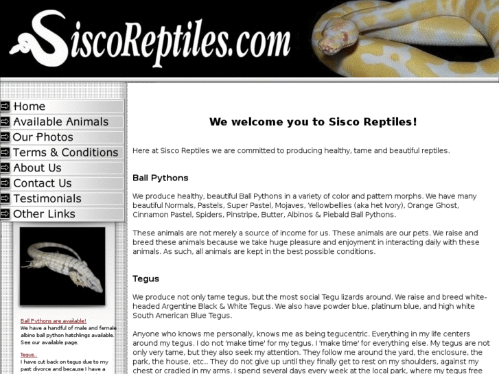 www.siscoreptiles.com