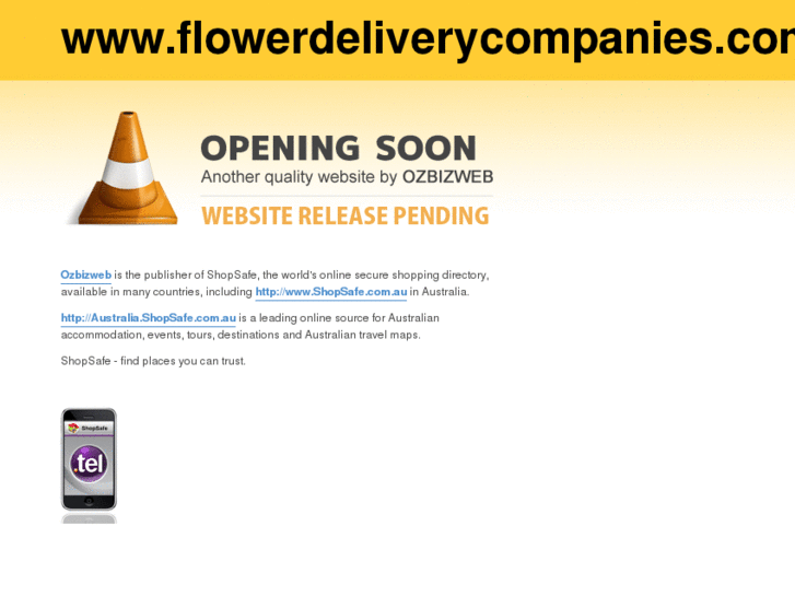 www.flowerdeliverycompanies.com