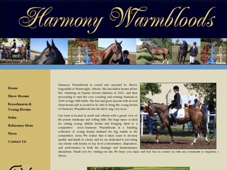 www.harmonywarmbloods.com