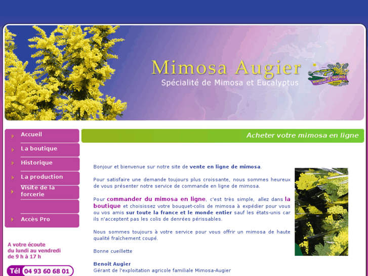 www.mimosa-augier.com