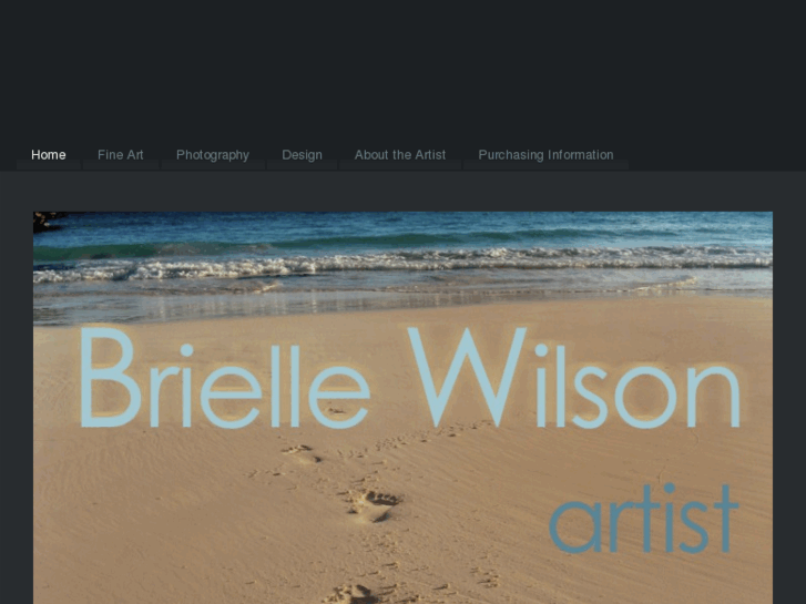 www.briellewilson.com