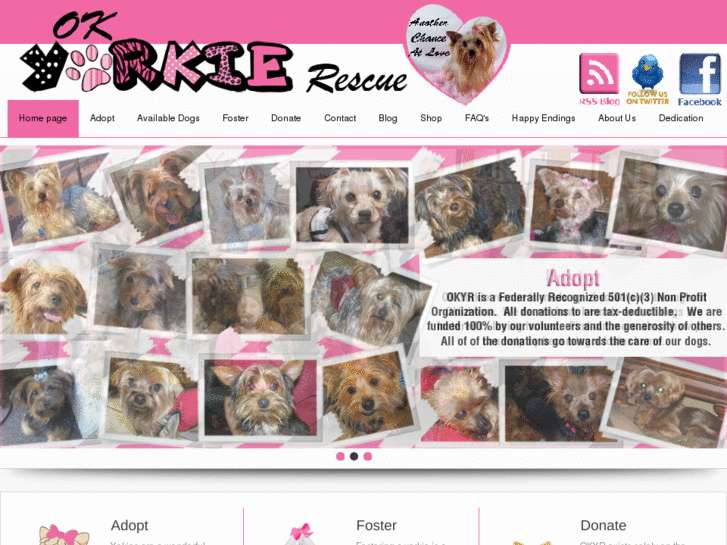 www.okyorkierescue.com