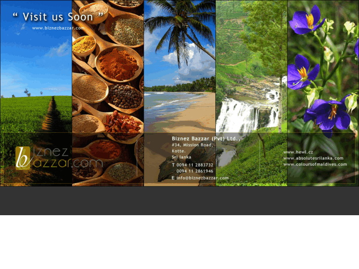 www.biznezbazzar.com