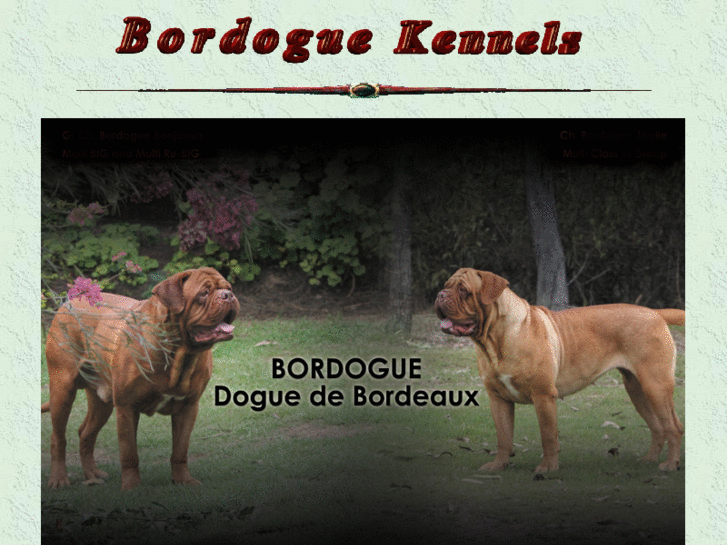 www.bordogue.com