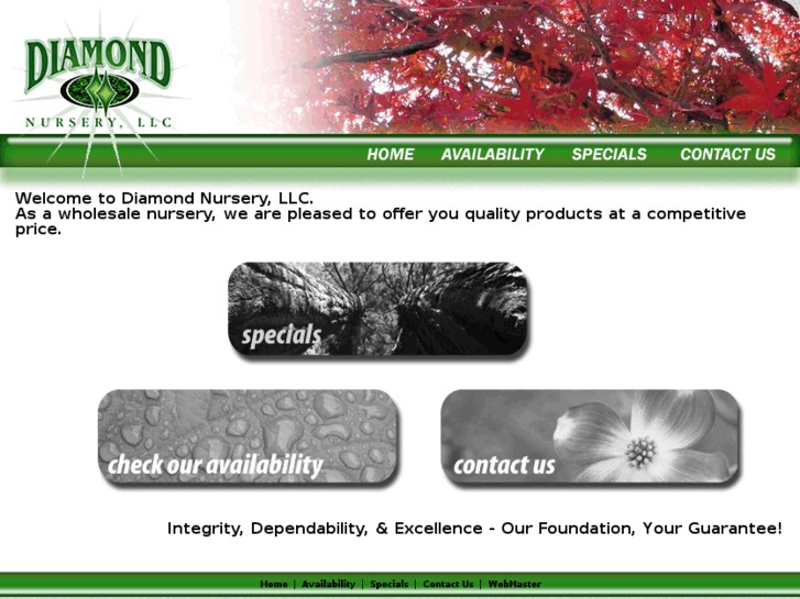 www.diamondnursery.com