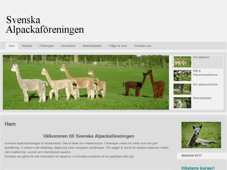 www.alpackaforeningen.se