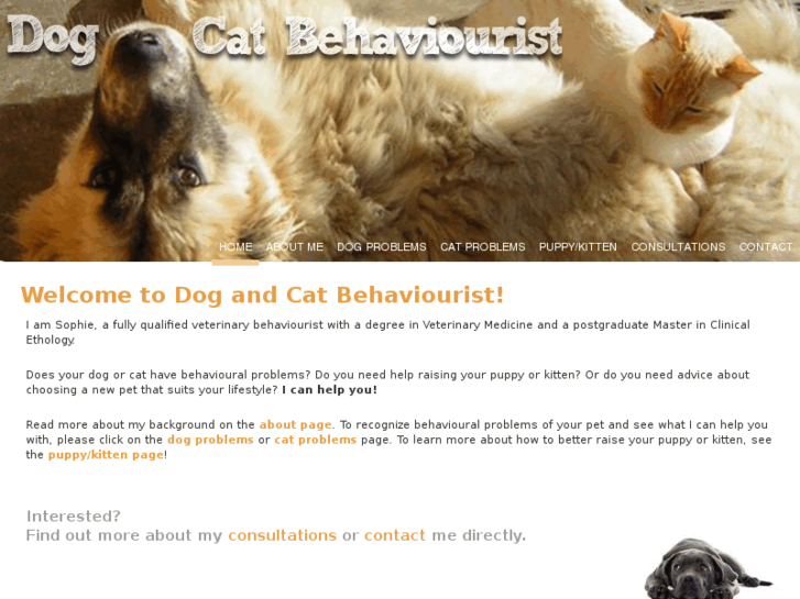 www.dogandcatbehaviourist.com