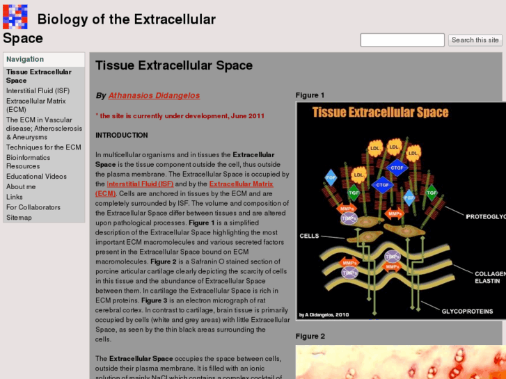 www.extracellularspace.com