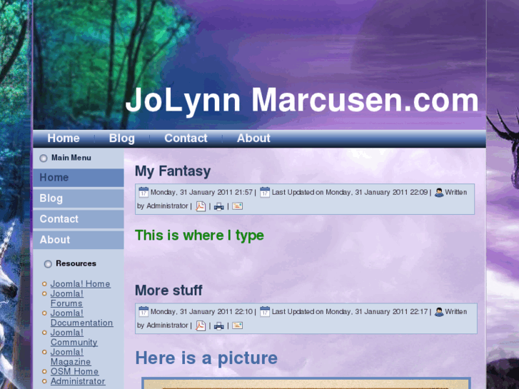 www.jolynnmarcusen.com