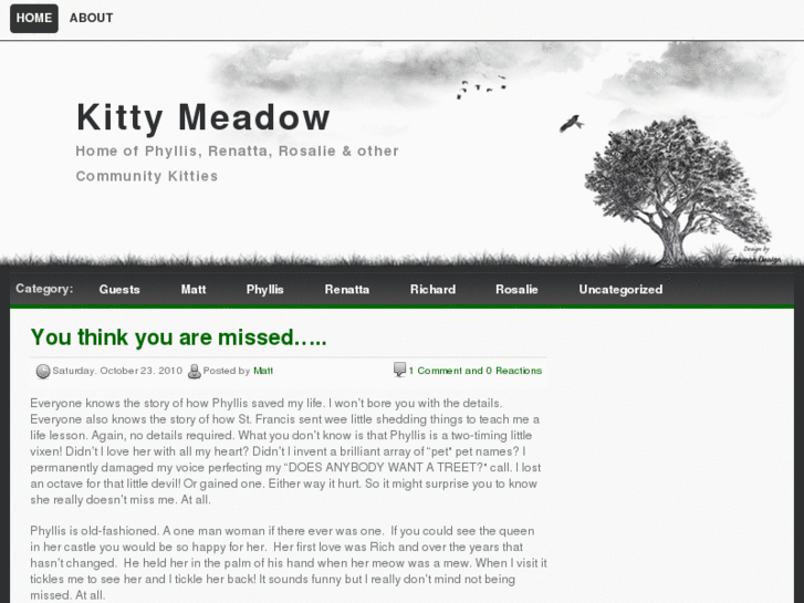 www.kittymeadow.com