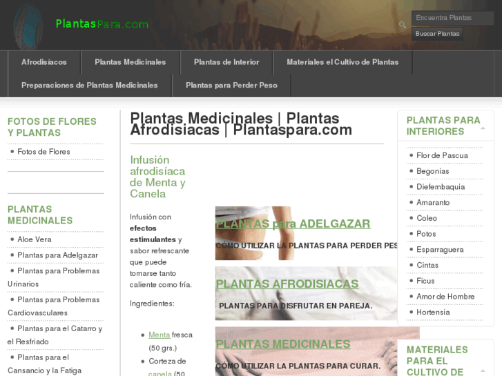 www.plantaspara.com