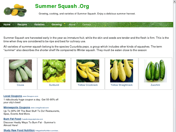 www.summersquash.org