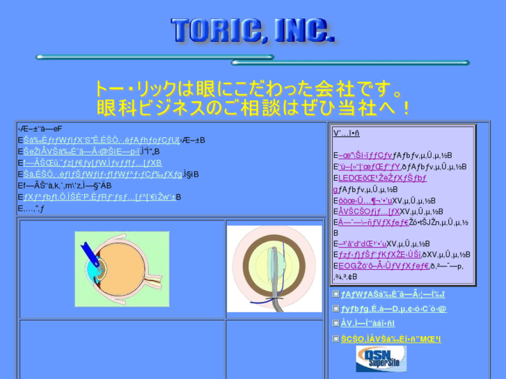 www.toric-inc.com