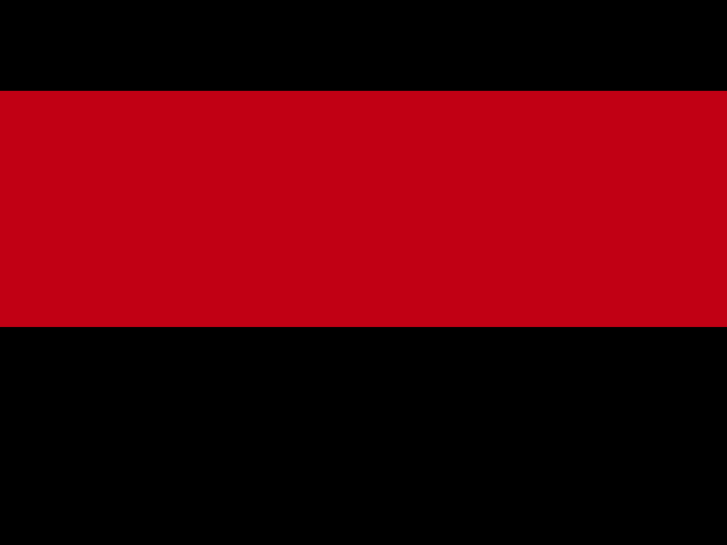 www.bates.dk