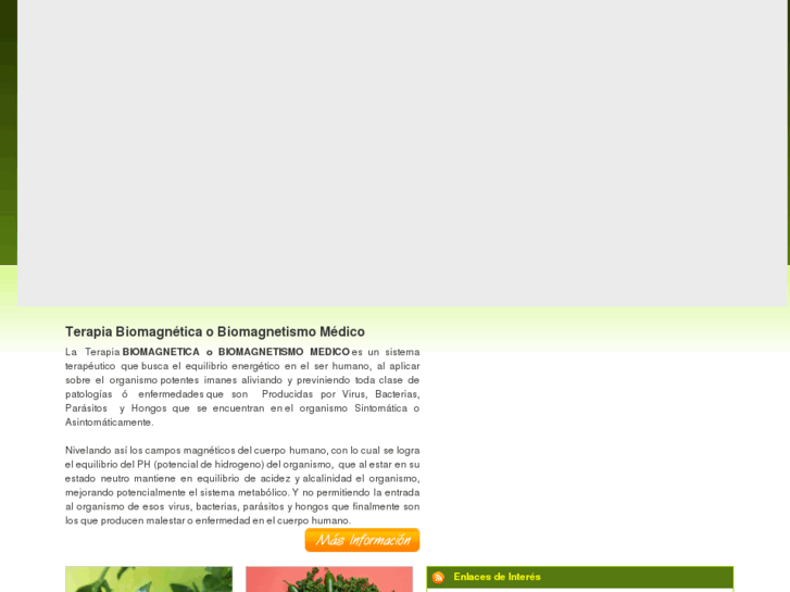 www.biomagnetismocolombia.com