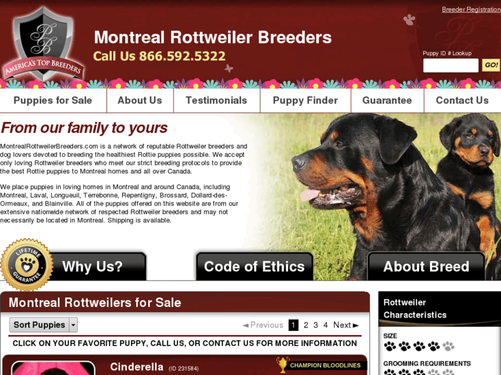 www.montrealrottweilerbreeders.com