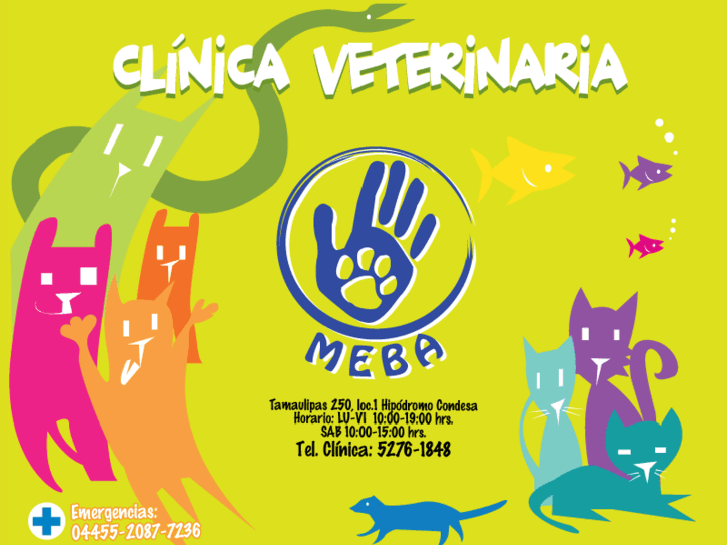 www.veterinariameba.com