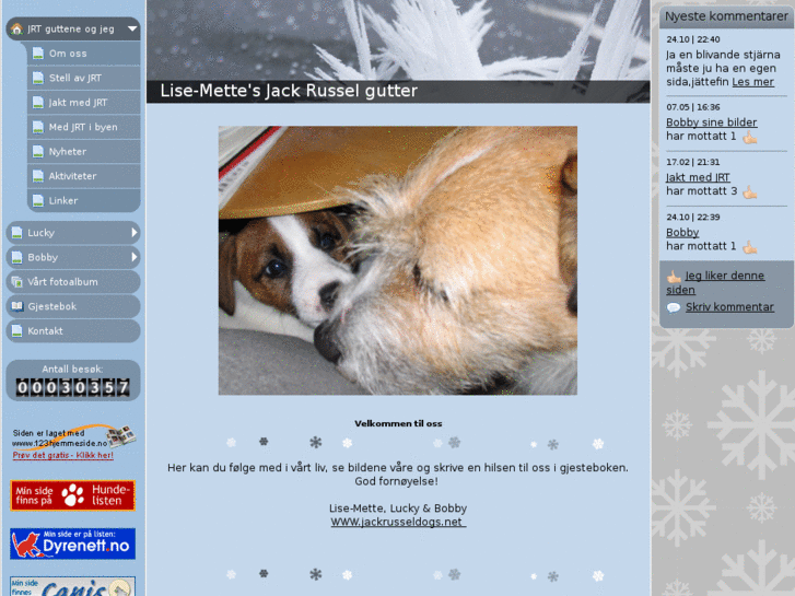 www.jackrusseldogs.net