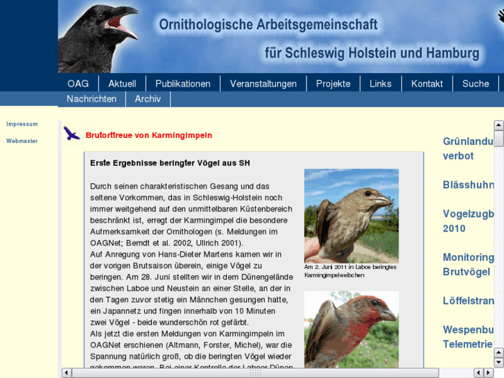 www.ornithologie-schleswig-holstein.de