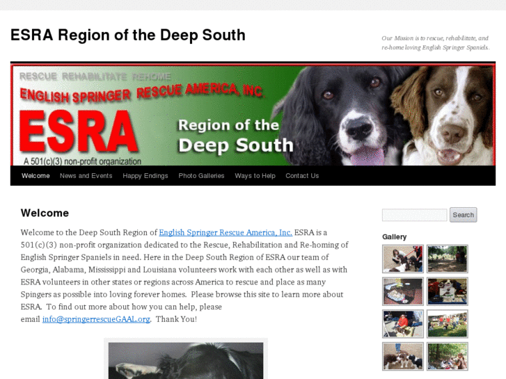 www.springerrescuegaal.org