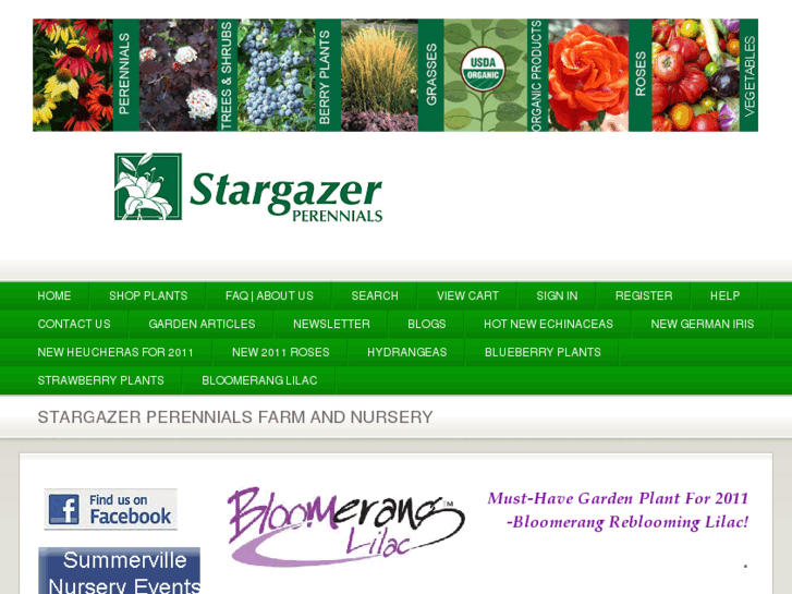 www.stargazerperennials.com