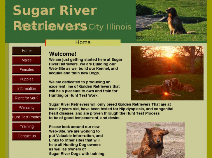 www.sugarriverretrievers.com