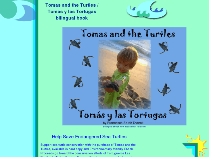 www.tomasandtheturtles.com