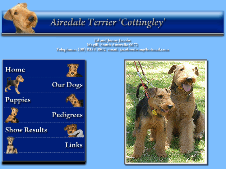 www.airedale-terrier-cottingley.com