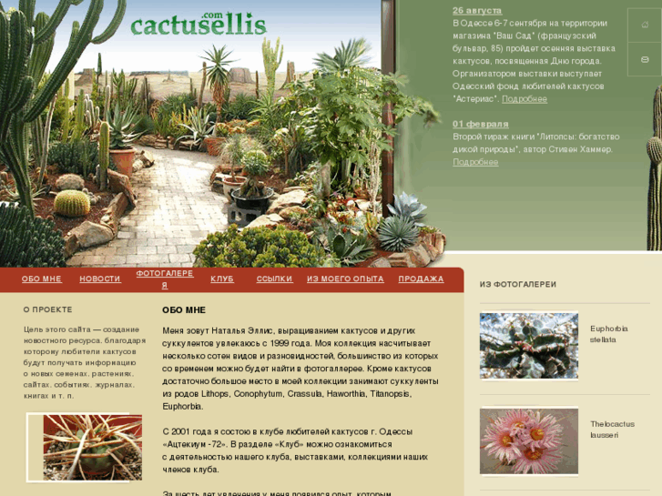 www.cactusellis.com